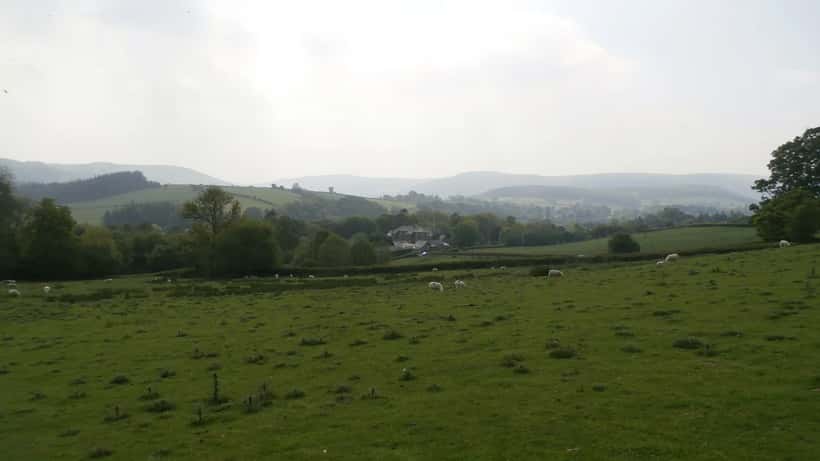 The Sheep Detectives Comes to UK Cinemas: The Real Livestock Emergencies Vets See on British Farms